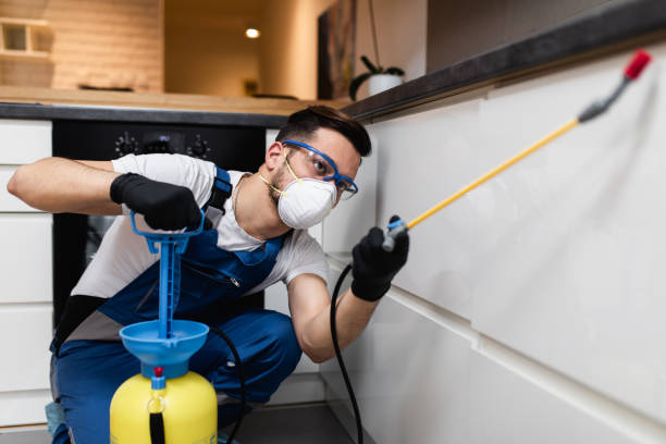Best Flea Control Services  in Omaha, TX