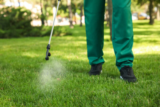 Best Cockroach Control Services  in Omaha, TX