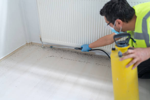 Best Exterminator Services  in Omaha, TX