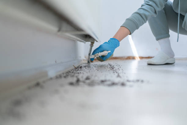 Best Pest Prevention Services  in Omaha, TX