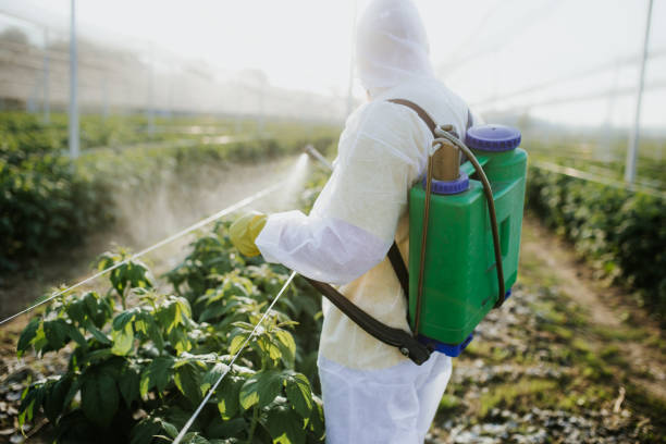  Omaha, TX Pest Control Pros